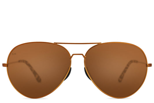 Tangle Free Aviator - Prairie Tortoise Polarized